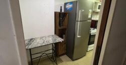 Departamento 2 amb. amoblado en alquiler – Coghlan
